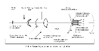 fig1-07cTN.gif Retina Layers 200x103