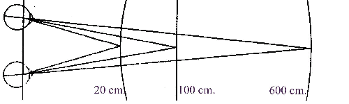 fig1-8TN.gif Stereo Vision500x150