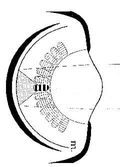 fig2-07TN.jpg Concave Mirror Optical Design 240x334