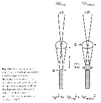 fig2-09bTN.jpg Apposition Compound Eye Design 204x200