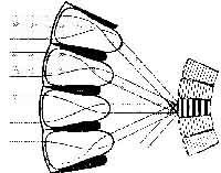 fig2-13TN.jpg Refraction Superposition eye design 157x200