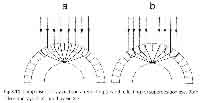 fig2-13bTN.jpg Reflective & Refractive Superposition eye design 103x200