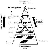 fig4-03TN.jpg Cell Architecture for vision system development 200x207