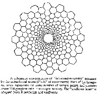 fig5-12TN.jpg Diagram showing concentration of information near the center of the eye 200x198