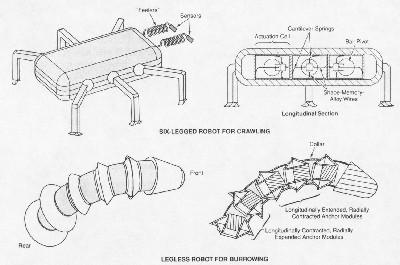 fig5-15TN.jpg Robotic Insects (NASA) 400x265