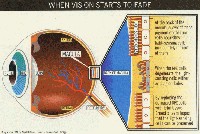 fig5-27TN.jpg Cell Replacement Concept 300x201