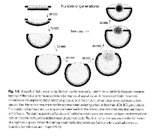 fig6-01cTN.jpg Diagram 271x300