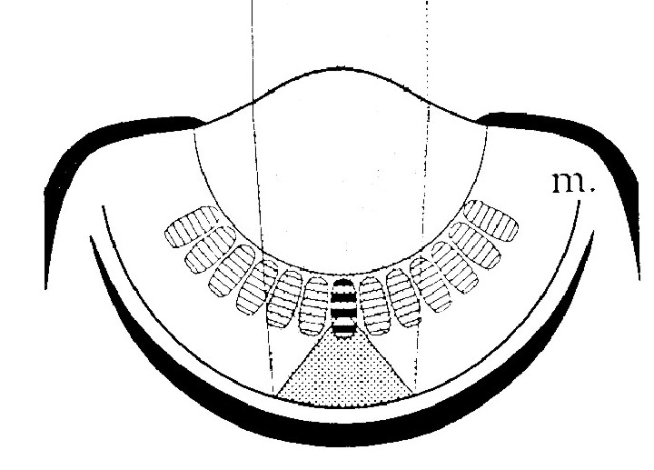 eye diagram. Fig 6-2 Pinhole Eye Diagram