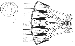 fig6-8TN.gif Parabolic Superposition Compound-Eye Design 300x223