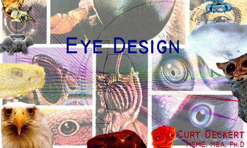 eyelogo-origTN.jpg Eye Design Title Page 500x300